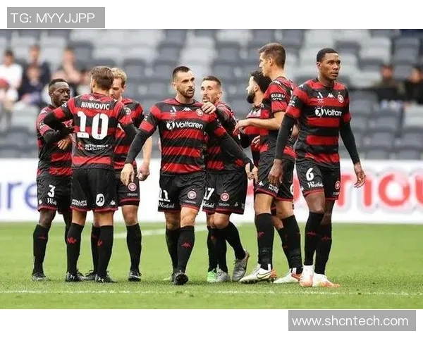 苏格兰与塞尔维亚展开激烈对决争夺足球世预赛入场券 苏格兰与塞尔维亚展开激烈对决争夺足球世预赛入场券