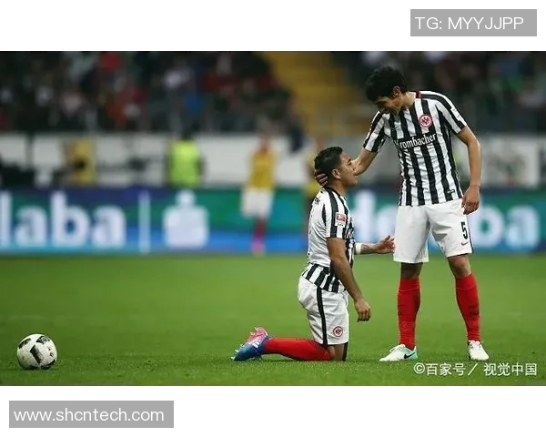 佩洛塔斯对决精彩回顾与赛后分析揭示战术秘密与球员表现