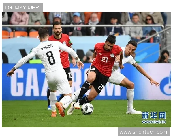 俄罗斯与埃及足球队员名单对比分析及比赛前瞻