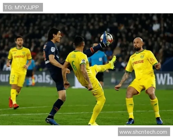 尼斯与南特实力对比分析谁能在比赛中占据上风