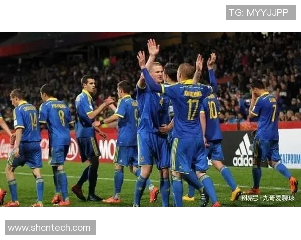 波黑与芬兰激战欧洲杯预选赛争夺出线机会的精彩对决 波黑与芬兰激战欧洲杯预选赛争夺出线机会的精彩对决