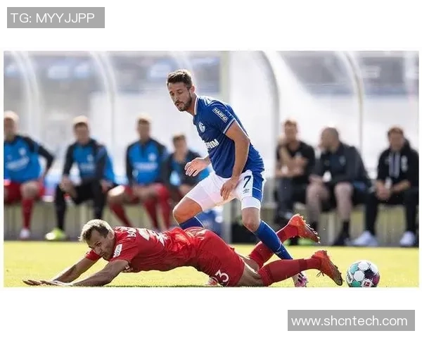 波鸿与纽伦堡激战回顾:双方战术分析与精彩瞬间盘点