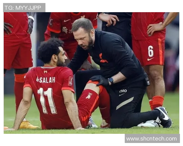 般尼与利物浦激战成败揭晓赛果分析与精彩回顾