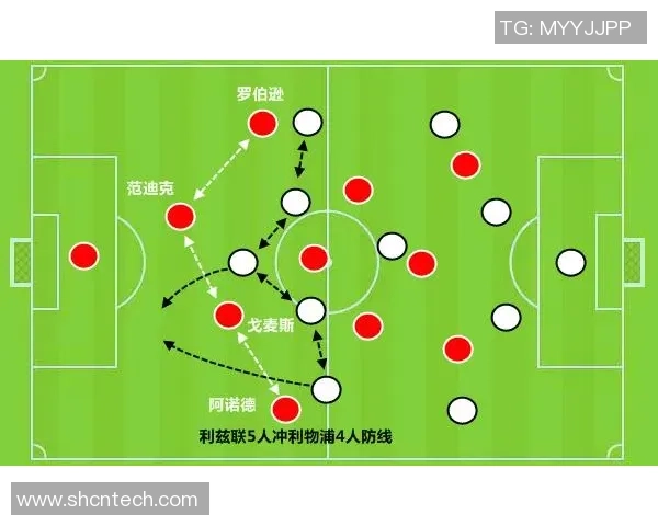 广州篮球队技术深度解析：战术创新与球员发展全景探讨